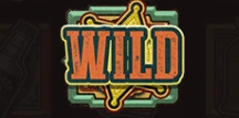 WILD Symbol