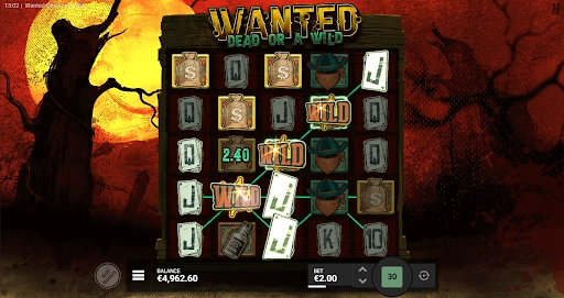 winning Combination with WILD Symbols